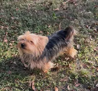 processed/137e7f3d-8538-40c8-990a-2ef60a18dfa1/listing/ed64e372-1928-49fc-8e9f-77a70080c620/d2de2282-dc66-4ec6-8206-4a6dac1418e1