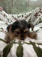 processed/137e7f3d-8538-40c8-990a-2ef60a18dfa1/listing/f31f6885-bc43-428a-bd36-1fff3425a9cb/6cc5f456-6efa-4e78-9e9b-e68dba36ea57