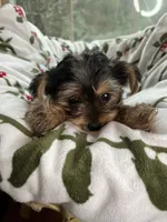 processed/137e7f3d-8538-40c8-990a-2ef60a18dfa1/listing/f31f6885-bc43-428a-bd36-1fff3425a9cb/6f8820d4-1c5b-4987-bbd7-ae93c34ce16b