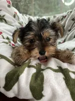 processed/137e7f3d-8538-40c8-990a-2ef60a18dfa1/listing/f31f6885-bc43-428a-bd36-1fff3425a9cb/88b76291-3664-4de5-b0e7-3f33f3f93c25