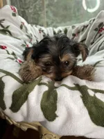 processed/137e7f3d-8538-40c8-990a-2ef60a18dfa1/listing/f31f6885-bc43-428a-bd36-1fff3425a9cb/b99c4a79-2be8-4dfe-ac20-a82113cd27b2