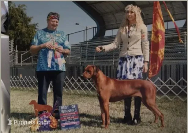 Male no. 3 _ litter no. 2