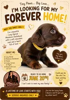 CKC LONG HAIRED YELLOW, a female Miniature Dachshund for sale in Liberty, TX – 1 of 6