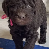 processed/13885354-b27e-4c54-b735-83ae5a3c2cb1/facility/17628e94-42b0-4027-ba02-8fa01c27c331