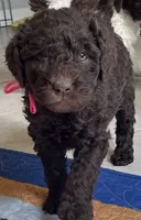 processed/13885354-b27e-4c54-b735-83ae5a3c2cb1/facility/17628e94-42b0-4027-ba02-8fa01c27c331