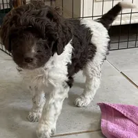 processed/13885354-b27e-4c54-b735-83ae5a3c2cb1/facility/d345277c-c7ed-4451-bd8c-5c814608153b