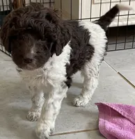 processed/13885354-b27e-4c54-b735-83ae5a3c2cb1/facility/d345277c-c7ed-4451-bd8c-5c814608153b