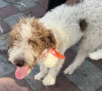 processed/13885354-b27e-4c54-b735-83ae5a3c2cb1/listing/034af0d4-fad5-496b-a49e-5b7f91380dc8/1f609244-ab79-4fbd-a4b1-2ad4e46055de