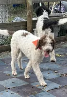 processed/13885354-b27e-4c54-b735-83ae5a3c2cb1/listing/034af0d4-fad5-496b-a49e-5b7f91380dc8/3f2f081d-90ac-4efa-8dfd-38e2dea49a9d