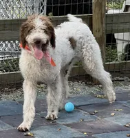 processed/13885354-b27e-4c54-b735-83ae5a3c2cb1/listing/034af0d4-fad5-496b-a49e-5b7f91380dc8/5cb29aa1-685c-471e-a1b1-0d1f7e452539