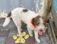 processed/13885354-b27e-4c54-b735-83ae5a3c2cb1/listing/034af0d4-fad5-496b-a49e-5b7f91380dc8/db54c4be-0ff7-4018-8ebf-a4a504415dbc