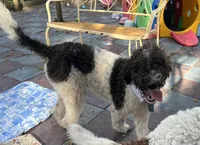 processed/13885354-b27e-4c54-b735-83ae5a3c2cb1/listing/157aa69a-7495-4f44-9c96-e8db05533d47/334a2074-f33d-4f7a-9431-097ceedbf2ab