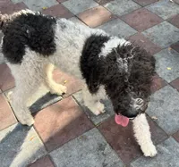 processed/13885354-b27e-4c54-b735-83ae5a3c2cb1/listing/157aa69a-7495-4f44-9c96-e8db05533d47/6a6c937c-0bfe-4c5b-bfb1-bf10964af0cd