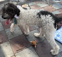 processed/13885354-b27e-4c54-b735-83ae5a3c2cb1/listing/157aa69a-7495-4f44-9c96-e8db05533d47/70ce72bc-f007-4f1a-bd6e-8ae1d21e5fc1