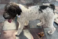 processed/13885354-b27e-4c54-b735-83ae5a3c2cb1/listing/157aa69a-7495-4f44-9c96-e8db05533d47/8a9e04c9-9bef-4a9f-89c1-cc408e202675