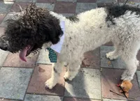 processed/13885354-b27e-4c54-b735-83ae5a3c2cb1/listing/157aa69a-7495-4f44-9c96-e8db05533d47/abc5b218-551f-4312-b1da-cee9e0626333