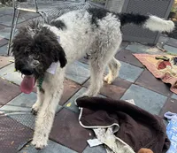 processed/13885354-b27e-4c54-b735-83ae5a3c2cb1/listing/157aa69a-7495-4f44-9c96-e8db05533d47/cfd6d67b-a74f-473e-93d5-9273d2da8854