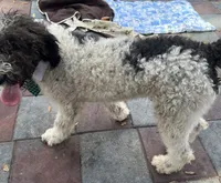 processed/13885354-b27e-4c54-b735-83ae5a3c2cb1/listing/157aa69a-7495-4f44-9c96-e8db05533d47/fe3491a9-ba7e-4111-899b-8c27c5b36fe9