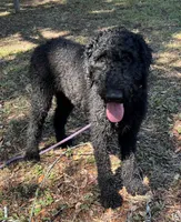 processed/13885354-b27e-4c54-b735-83ae5a3c2cb1/listing/165bb6ff-85c0-40d9-8e30-dbc00010ba79/49b7ba2b-d8e5-4ad3-a070-07be55c6fdb0