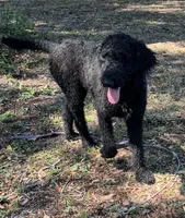 processed/13885354-b27e-4c54-b735-83ae5a3c2cb1/listing/165bb6ff-85c0-40d9-8e30-dbc00010ba79/8ac8ba66-f71d-4fe3-89d3-201c9662f91d