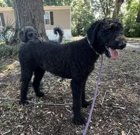 processed/13885354-b27e-4c54-b735-83ae5a3c2cb1/listing/165bb6ff-85c0-40d9-8e30-dbc00010ba79/b0636f47-d758-4783-8193-81620a8a211e