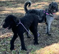 processed/13885354-b27e-4c54-b735-83ae5a3c2cb1/listing/165bb6ff-85c0-40d9-8e30-dbc00010ba79/cd90b320-259a-4642-bb34-fd0026e6081d