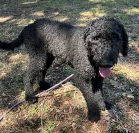 processed/13885354-b27e-4c54-b735-83ae5a3c2cb1/listing/165bb6ff-85c0-40d9-8e30-dbc00010ba79/ceb70e0d-844a-4cd1-ba55-74207a9bce8b