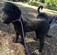 processed/13885354-b27e-4c54-b735-83ae5a3c2cb1/listing/165bb6ff-85c0-40d9-8e30-dbc00010ba79/fce53f26-4710-41bb-b9ca-005e86c59e77