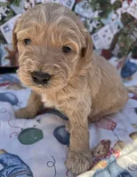 processed/13885354-b27e-4c54-b735-83ae5a3c2cb1/listing/7db1ceb3-b5ec-4851-9a6c-42addf1837f6/1cc41742-79b8-4f5c-ba75-0bbc7ee22489