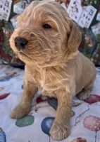 processed/13885354-b27e-4c54-b735-83ae5a3c2cb1/listing/7db1ceb3-b5ec-4851-9a6c-42addf1837f6/33e613cd-8eff-453b-92c6-f2286004ac6f