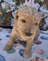 processed/13885354-b27e-4c54-b735-83ae5a3c2cb1/listing/7db1ceb3-b5ec-4851-9a6c-42addf1837f6/63c08c2f-8659-447f-8678-ec3644c69345