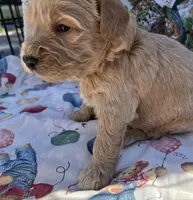 processed/13885354-b27e-4c54-b735-83ae5a3c2cb1/listing/7db1ceb3-b5ec-4851-9a6c-42addf1837f6/7b7ecc0e-9141-4483-806d-2dc2e75a1d85