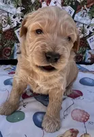 processed/13885354-b27e-4c54-b735-83ae5a3c2cb1/listing/7db1ceb3-b5ec-4851-9a6c-42addf1837f6/94bb6e00-337e-42cc-9100-761a852080e0