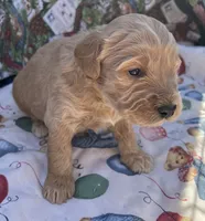 processed/13885354-b27e-4c54-b735-83ae5a3c2cb1/listing/7db1ceb3-b5ec-4851-9a6c-42addf1837f6/b1b5be48-e49e-4519-b2be-fcd19312175a