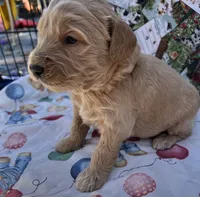 processed/13885354-b27e-4c54-b735-83ae5a3c2cb1/listing/7db1ceb3-b5ec-4851-9a6c-42addf1837f6/c57af0c3-a853-4bd7-8629-eaac9f3d9ecd