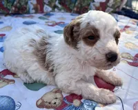 processed/13885354-b27e-4c54-b735-83ae5a3c2cb1/listing/95ce0412-db83-4c79-9f79-a5b86d00bc39/0873e413-b39d-4207-94f6-67acbac777e0