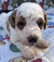 processed/13885354-b27e-4c54-b735-83ae5a3c2cb1/listing/95ce0412-db83-4c79-9f79-a5b86d00bc39/19fa3ab4-6ff0-4bd4-8d4d-d47e48dd15eb