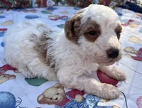 processed/13885354-b27e-4c54-b735-83ae5a3c2cb1/listing/95ce0412-db83-4c79-9f79-a5b86d00bc39/60f91374-c584-4794-a353-84ceb2dd0707