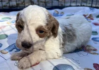 processed/13885354-b27e-4c54-b735-83ae5a3c2cb1/listing/95ce0412-db83-4c79-9f79-a5b86d00bc39/615ed16e-359c-48b5-9c45-cd0412de75b5