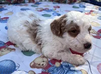 processed/13885354-b27e-4c54-b735-83ae5a3c2cb1/listing/95ce0412-db83-4c79-9f79-a5b86d00bc39/79e8a82e-59a4-45cb-b92b-f9f8bf795c37