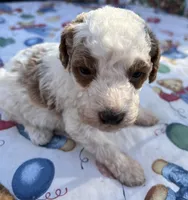 processed/13885354-b27e-4c54-b735-83ae5a3c2cb1/listing/95ce0412-db83-4c79-9f79-a5b86d00bc39/a69d34df-8f3e-471c-9402-f8c50f584a68