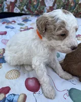 processed/13885354-b27e-4c54-b735-83ae5a3c2cb1/listing/a70eea93-74c6-4367-90ac-bc7ab0fd5325/4448daf8-09a1-47d3-88ad-254e95ab48ad