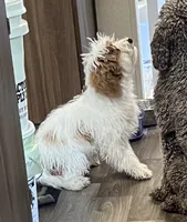 processed/13885354-b27e-4c54-b735-83ae5a3c2cb1/listing/a70eea93-74c6-4367-90ac-bc7ab0fd5325/a12da124-3725-4c0d-89c1-596b56d5861a