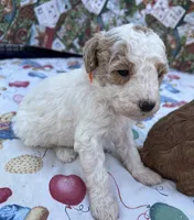 processed/13885354-b27e-4c54-b735-83ae5a3c2cb1/listing/a70eea93-74c6-4367-90ac-bc7ab0fd5325/a3b1eda6-6c74-48d6-825d-a3bae061e5a6