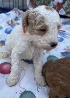 processed/13885354-b27e-4c54-b735-83ae5a3c2cb1/listing/a70eea93-74c6-4367-90ac-bc7ab0fd5325/eda4dd6e-570a-4d20-ae1b-7827a6b298bb