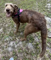 processed/13885354-b27e-4c54-b735-83ae5a3c2cb1/listing/b60b7fda-7291-40b0-9fa1-84c54627cf20/6cb085e3-6990-45a7-bf0f-294c8f02753d