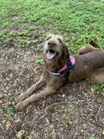 processed/13885354-b27e-4c54-b735-83ae5a3c2cb1/listing/b60b7fda-7291-40b0-9fa1-84c54627cf20/7695b4e9-b913-4c1e-9675-713e849e810b