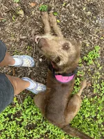 processed/13885354-b27e-4c54-b735-83ae5a3c2cb1/listing/b60b7fda-7291-40b0-9fa1-84c54627cf20/afe132dc-c92c-43e0-a76e-f57048d2a674