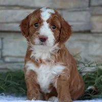 processed/138916ee-b895-40d2-92e3-f124d6e378e2/facility/0a017c41-a164-4a1a-bbe0-15836731c47c