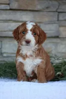 processed/138916ee-b895-40d2-92e3-f124d6e378e2/facility/0a017c41-a164-4a1a-bbe0-15836731c47c